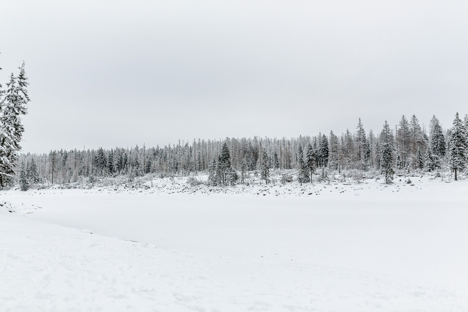 benkruse_afterwedding_schnee_004