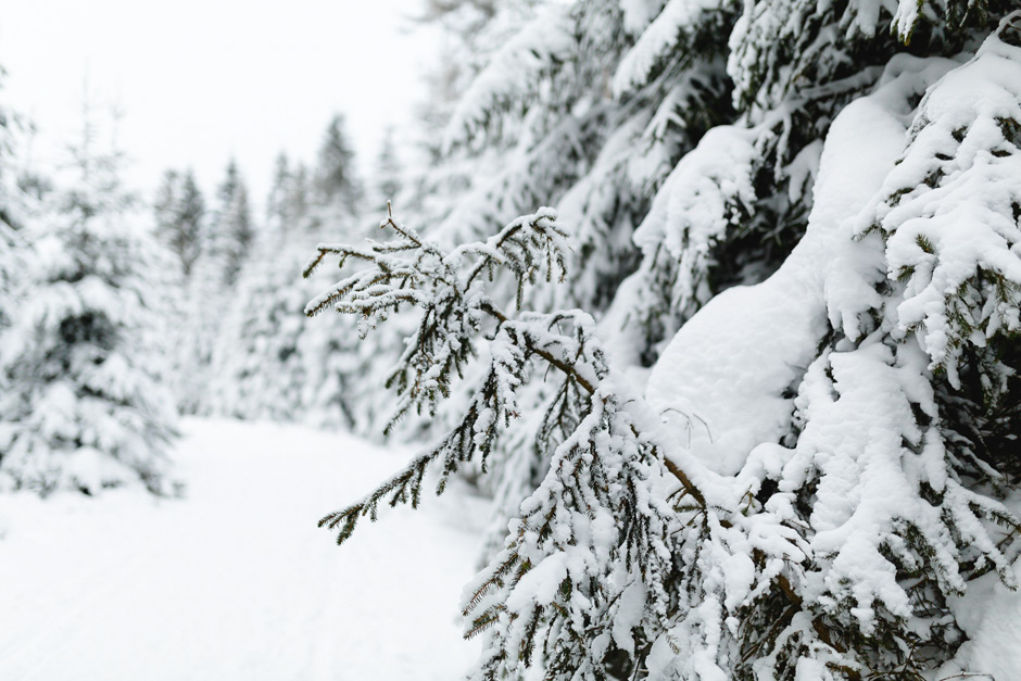 benkruse_afterwedding_schnee_019