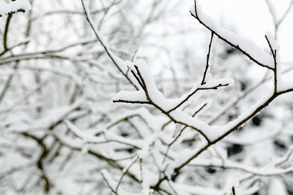 benkruse_afterwedding_schnee_021