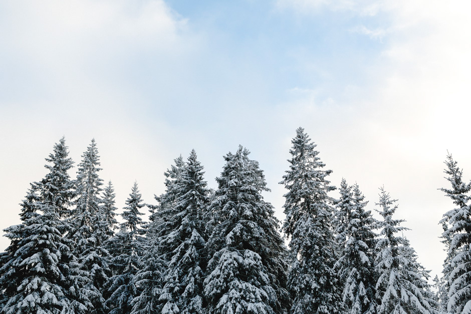 benkruse_afterwedding_schnee_028